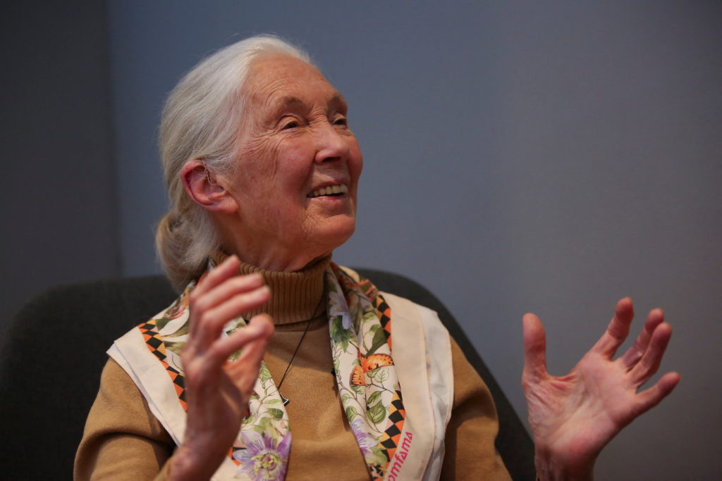 Primatologist and ethologist Jane Goodall visits Medellin