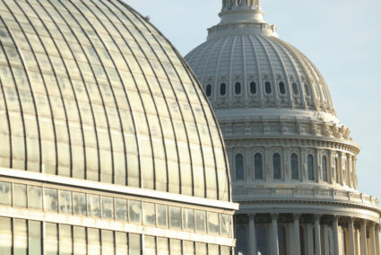 The dome of the U.S. Capitol during the government shutdown in Washington
