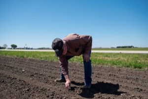 Facing low prices for all crops, U.S. farmers eye soy planting expansion