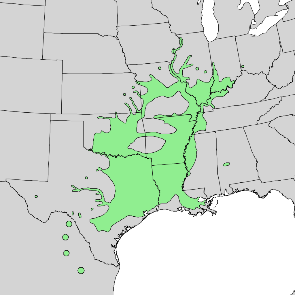 Carya_illinoinensis_range_map_1