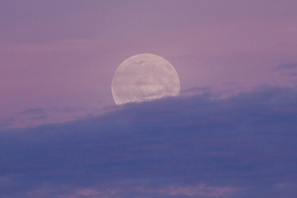 A full moon, known as the Hunter’s Moon, rises above the clouds near Parchim.