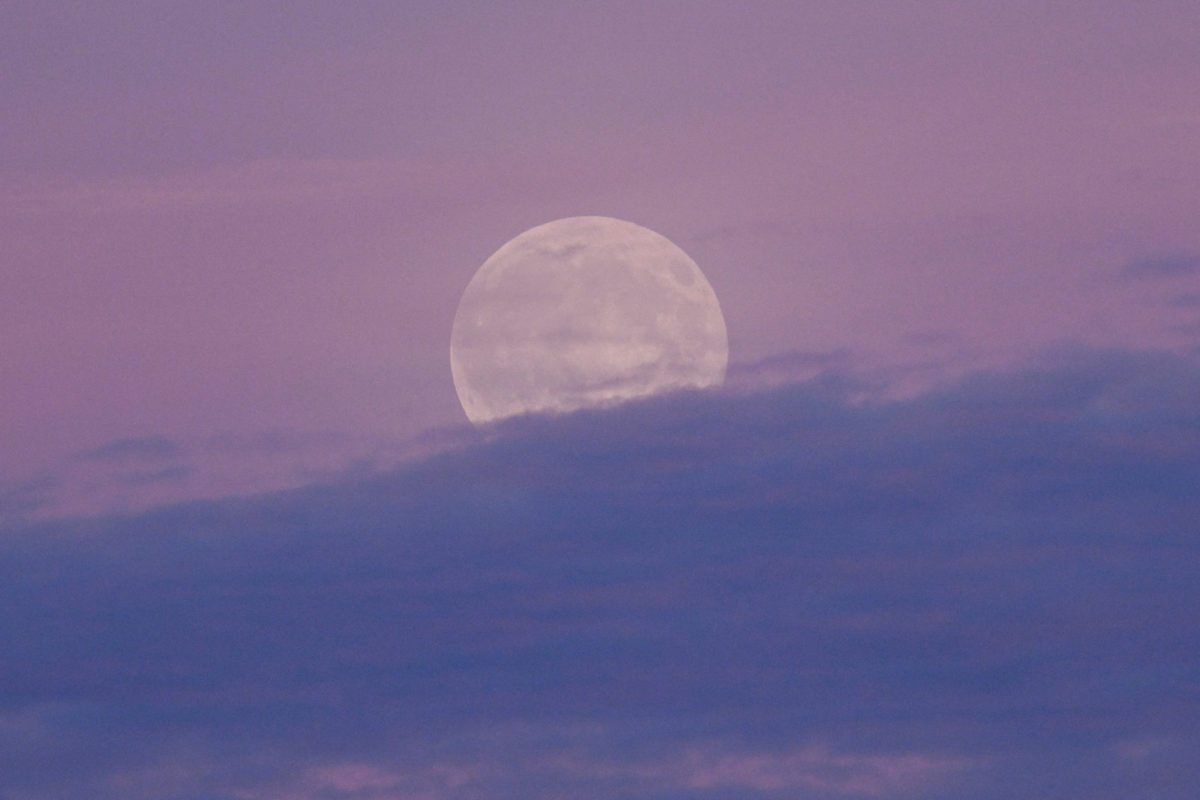 When to see the last supermoon of the year | PBS News