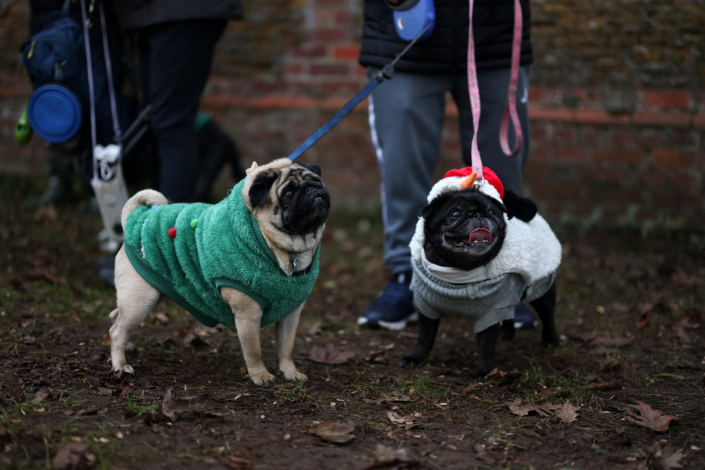Royal Family's Christmas Day service at the Sandringham estate
