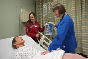 Harper College Instructor Jennifer Kittler talks with nursing student Delia Nedeleanu in the community colleges virtual ho...