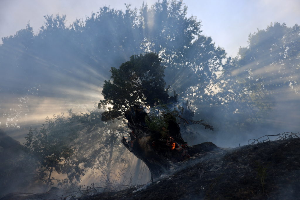 The Wider Image: Villagers struggle with aftermath of intense Iberian wildfires