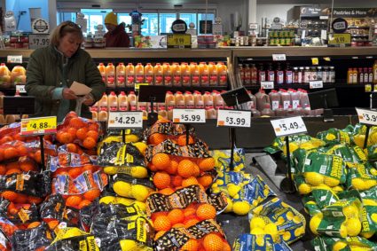 People shop for groceries at a store in Port Washington, New York