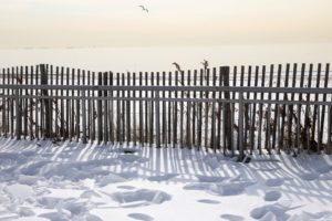 Cold weather in New York City