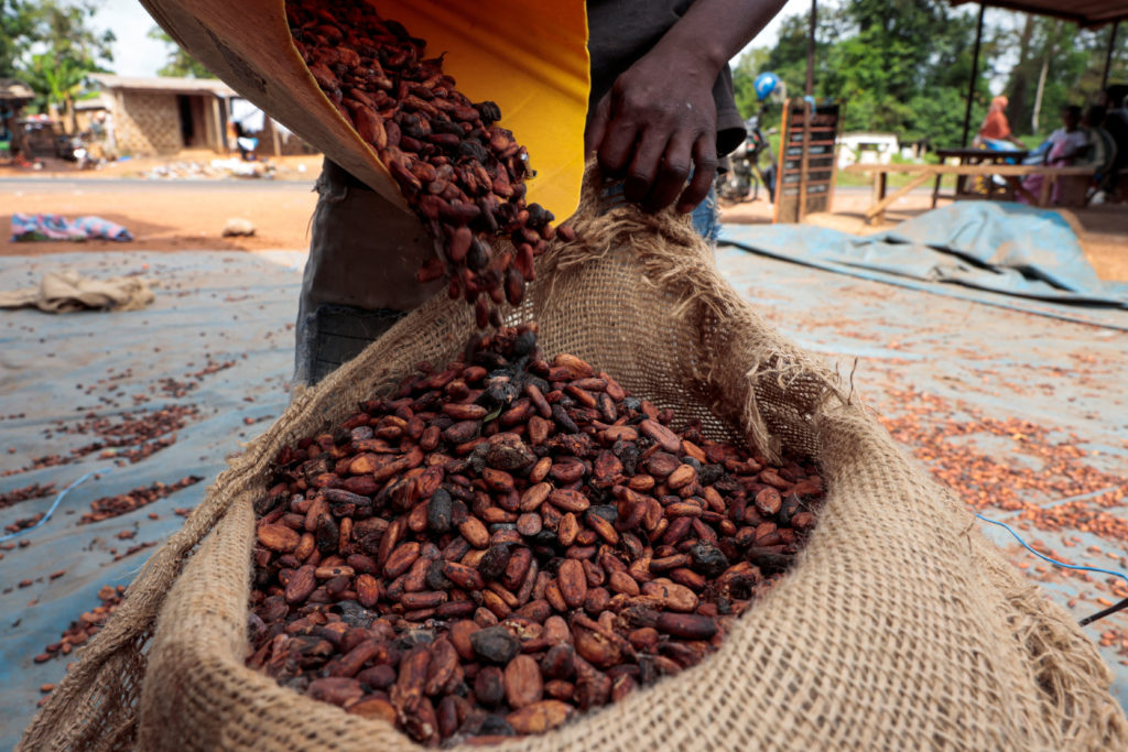 pbs.org - Edward Acquah, Associated Press - Rotting cocoa and a commodity crash push West African farmers to seek other options