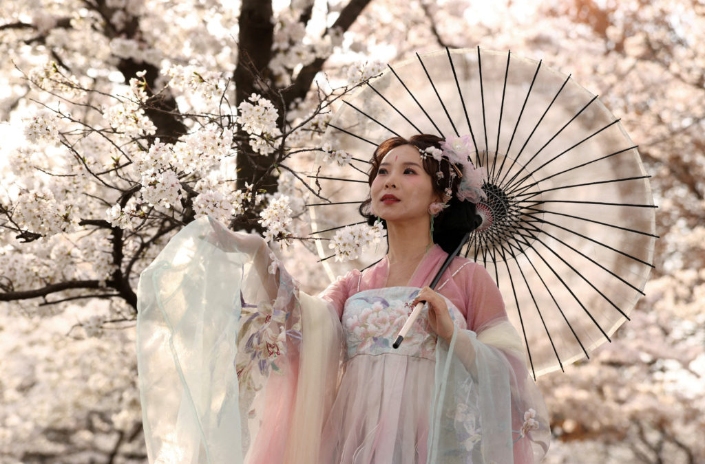 Woman in a Chinese dress with cherry blossoms in Washington