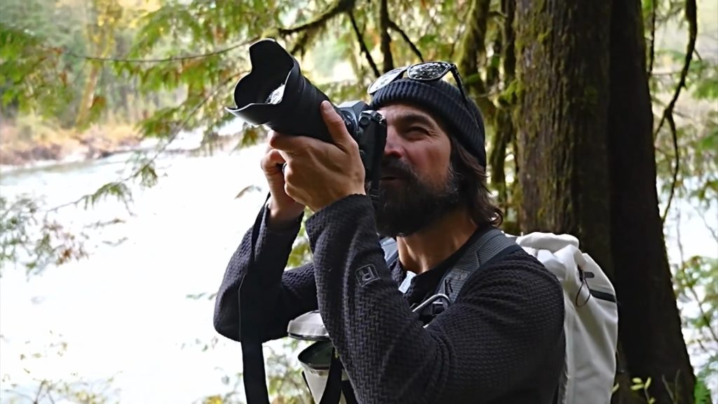 New growth in logged forests inspires photographer's hope
