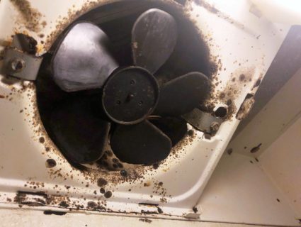 militaryhousing