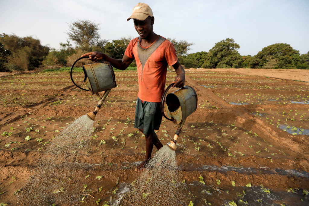 Agricultores buscam alternativas de fertilizantes enquanto a guerra no Irã aumenta os preços