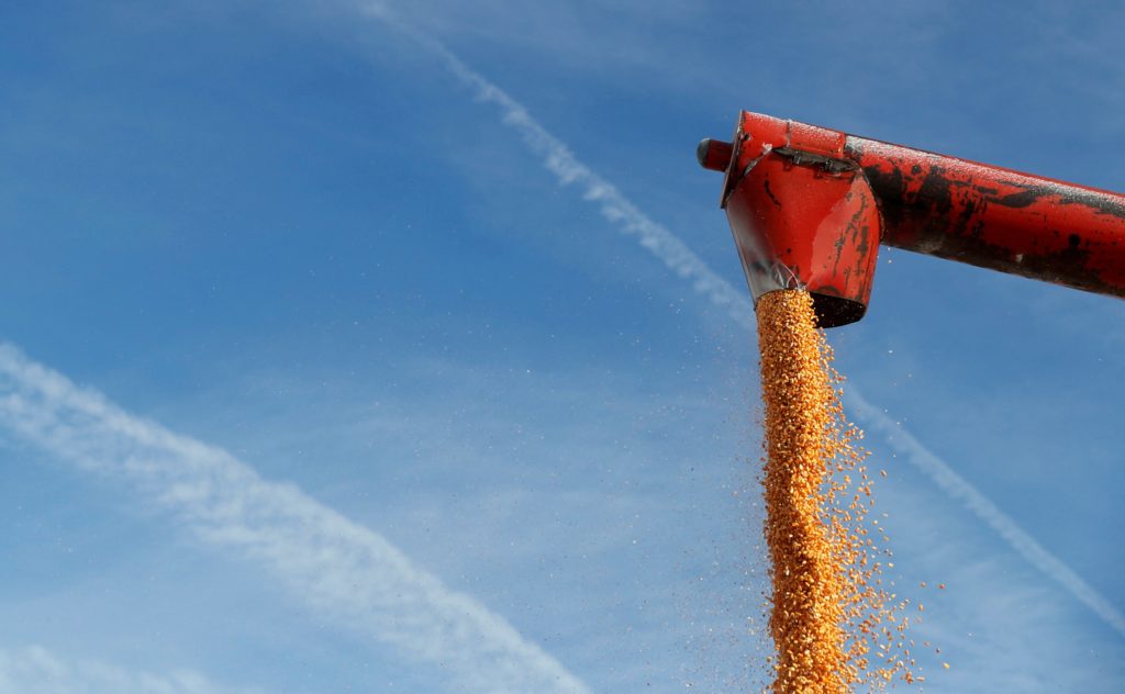 Producer Price Increase Signals Need for Fiscal Restraint, Reduced Regulation