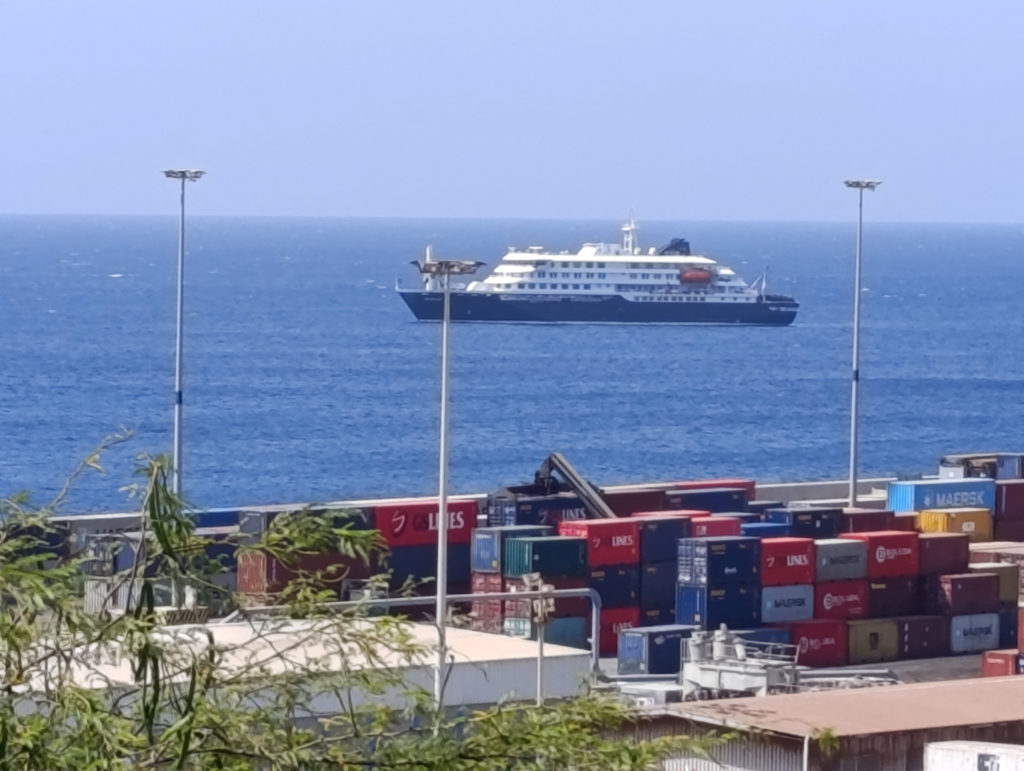 What to know about hantavirus, the illness suspected in a cruise ship outbreak that has killed 3 people