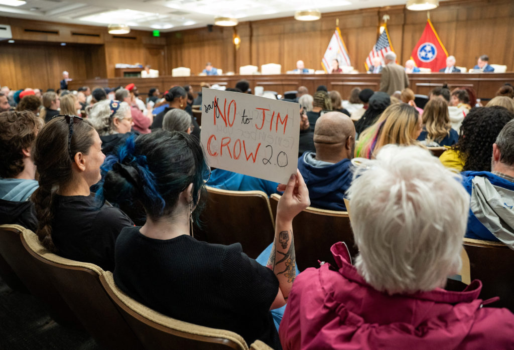 Protest during a Senate State and Local Government Committee session against redistricting, in Nashville