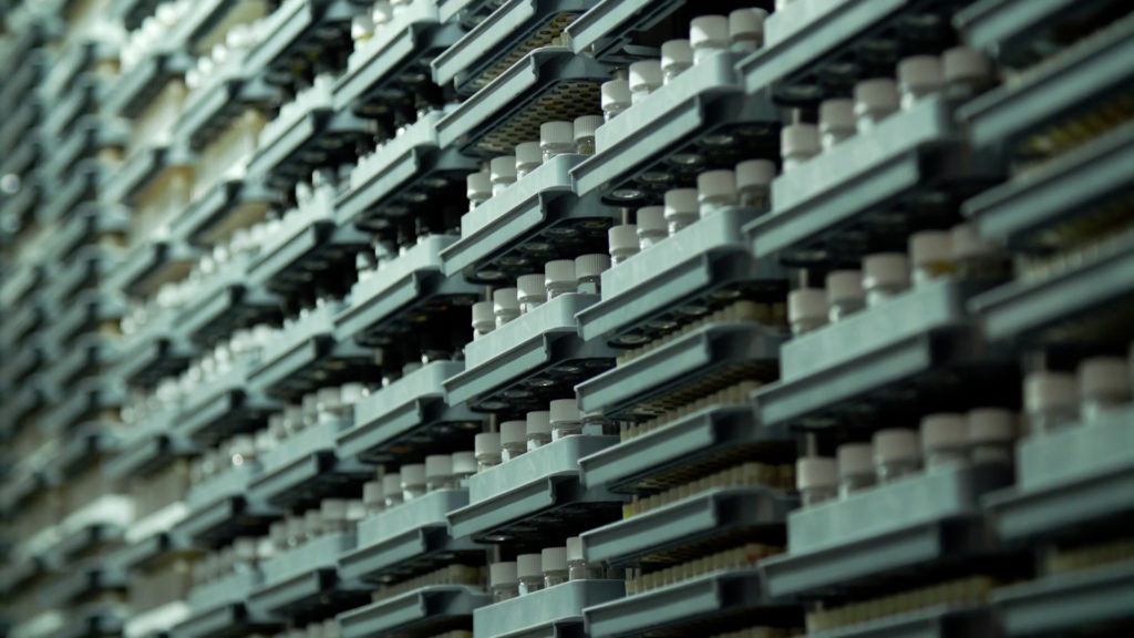 AI-Driven Antibiotic Development: A Free-Market Solution to Drug Resistance