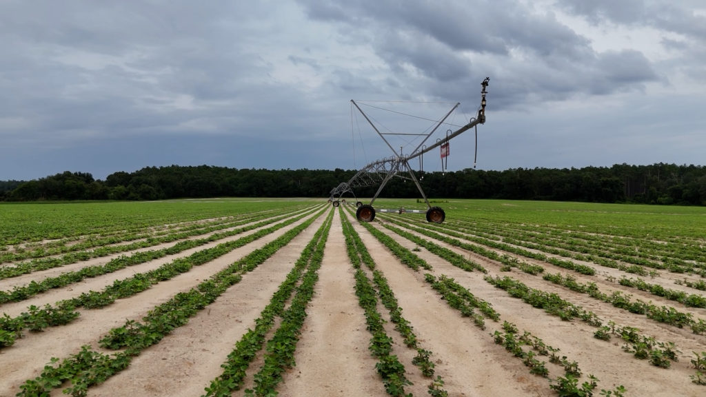 Farmers struggle with crops as climate change makes weather less predictable