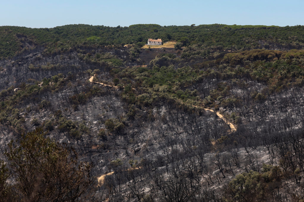 Aftermath of a wildfire near Calonge
