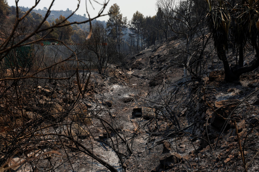 Wildfire in Castellon province