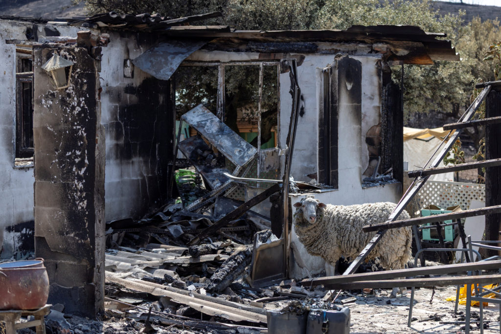 Wildfire in Avila province