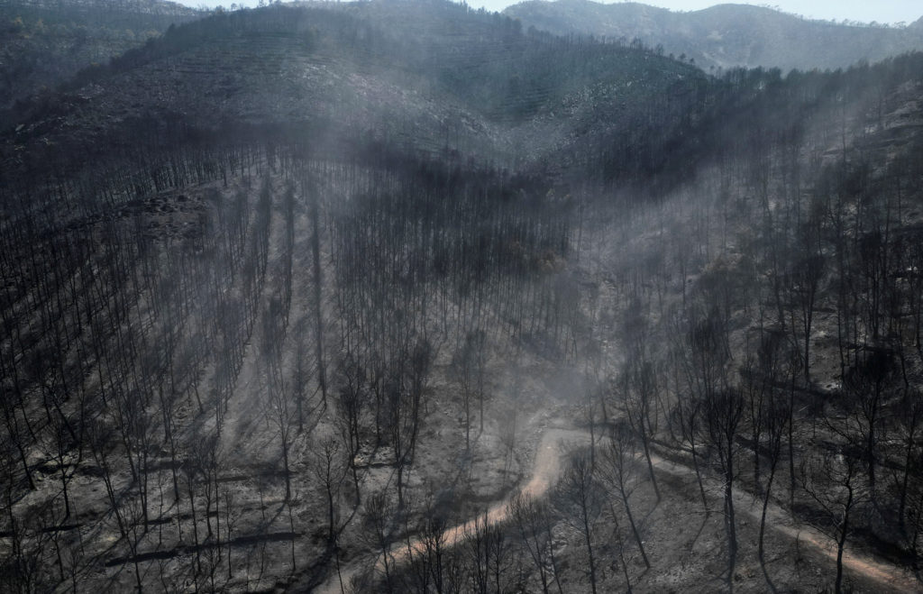 Wildfire in Castellon province