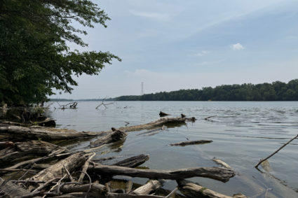 River Deaths Ohio