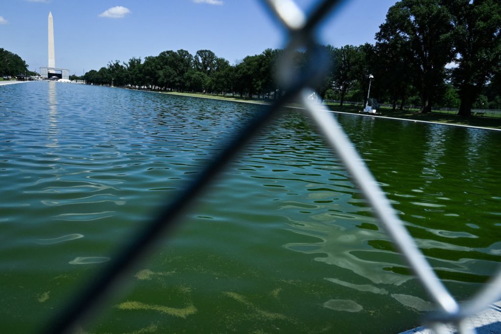News Wrap: Former U.S. Olympian faces felony charge for alleged Reflecting Pool vandalism