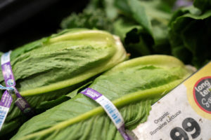 Reports of slumping consumer confidence in lettuce during cyclosporiasis outbreak