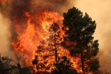 Wildfire burns near Agia Paraskevi