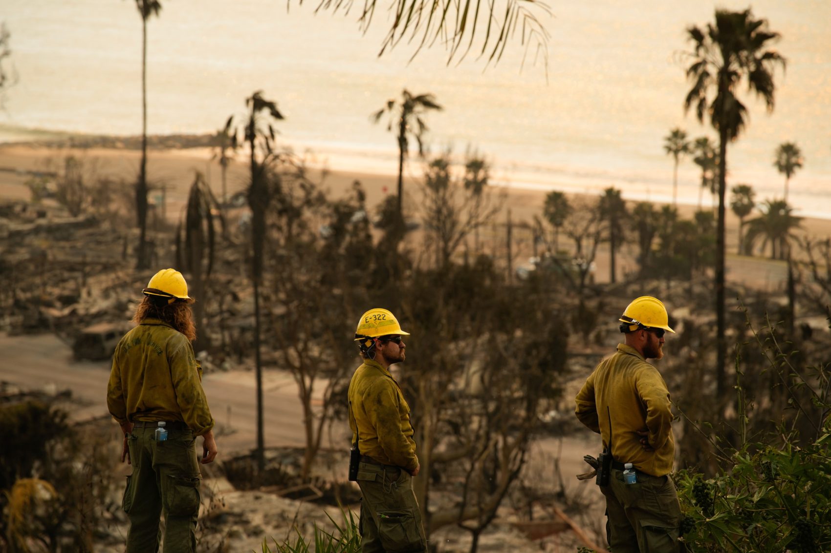 California Governor-Wildfire Liability