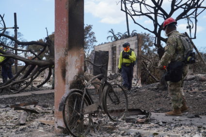 afterthefires