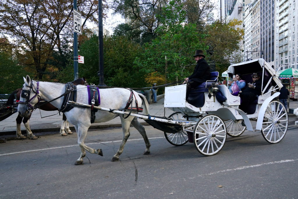 New York plans to ban Central Park's horse-drawn carriages after teen's death