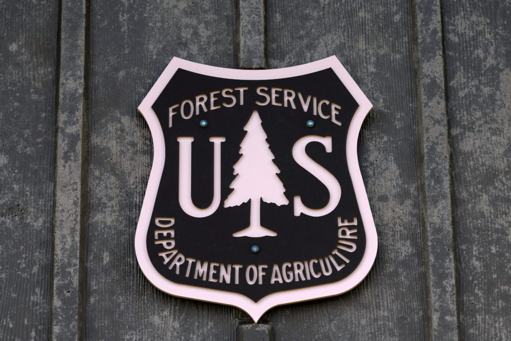 Rollins says USDA is 'full-bore ahead' on Forest Service reorganization