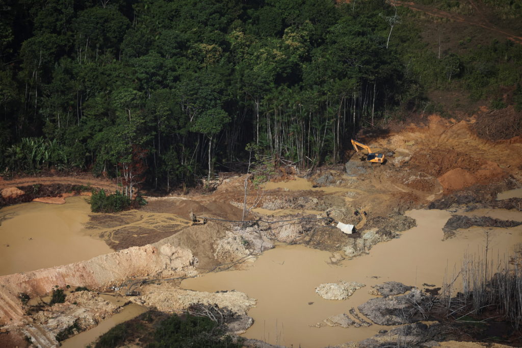 Environmentalists celebrate Lula's reelection in Brazil: 'The Amazon can breathe a sigh of relief'