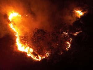 indonesiawildfires