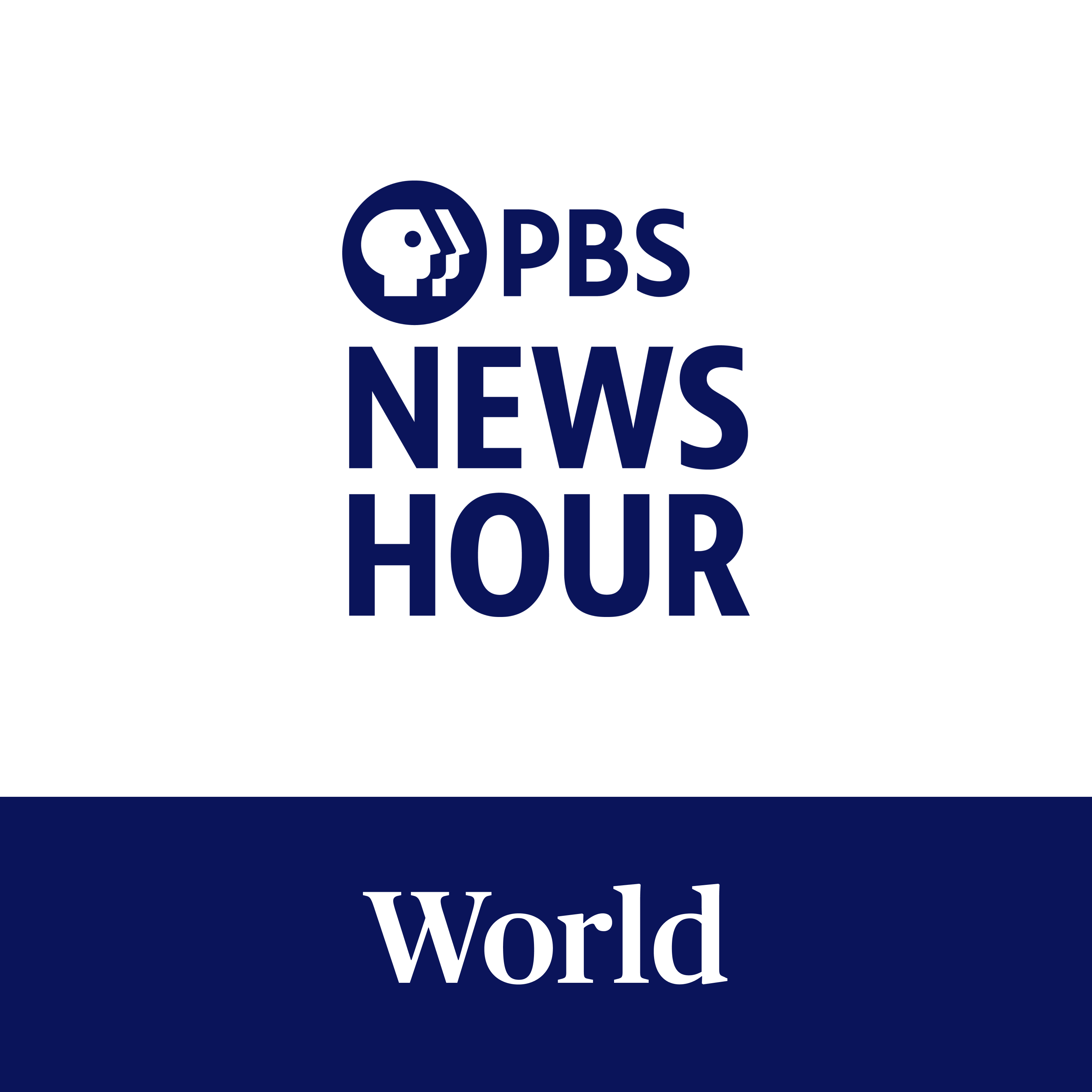 PBS News Hour - World